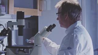 Jörg Cammenga - Professor i hematologi med inriktning mot molekylär leukemiforskning