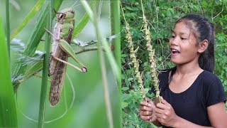 Catch & Cook roast locust for food eating delicious, Primitive survival skills ep 02
