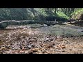 tranquil sunlit stream in georgia