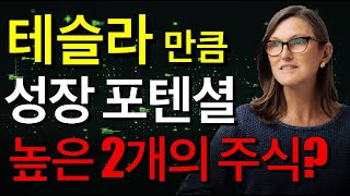 [미트볼] 캐시우드가 테슬라를 매수 했을때 만큼이나 설레이고 성장 포텐셜이 높다고 생각하는 2 주식에 대한 인싸이트와 전망 나눕니다.