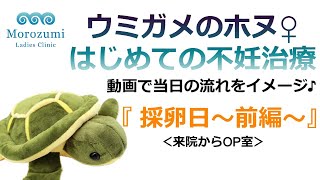 はじめての不妊治療　採卵日　前編