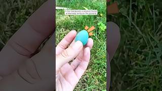 A woman rescued a blue egg and nurtured it