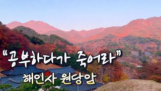 가야산 최고 전망, 해인사 원당암 / 해인사 저녁 타종 [합천 02]