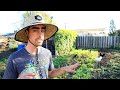 How I'm Shutting Down My Urban Farm