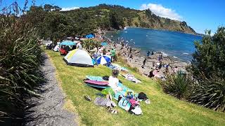 Goat Island. New Zealand.