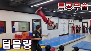 특공무술 유단자들의 텀블링~(공개심사^^) Martial arts in Korea