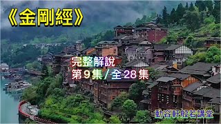 《金剛經》完整解說  [第9集/全28集]