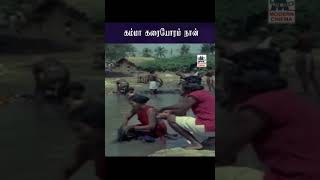 Kamma Karaiyoram Naan கம்மா கரையோரம் நான் Maman Oru Naal மாமன் ஒரு நாள் | SPB | Sailaja