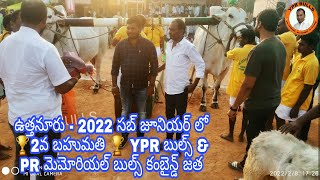 ఉత్తనూరు - 2022 సబ్ జూనియర్ లో 🏆2వ బహుమతి 🏆 YPR బుల్స్ \u0026PR మెమోరియల్ బుల్స్ కంబైన్డ్ జత #ypr #bull