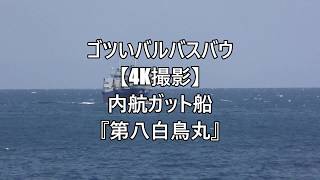 ゴツいバルバスバウ【4K撮影】内航ガット船『第八白鳥丸』空船