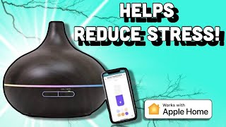 Meross Smart WiFi Essential Oil Diffuser-Review!