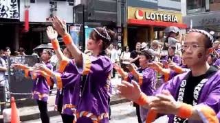 2016 渋谷・鹿児島おはら祭り＜川内高校気ばいやんせ連＞