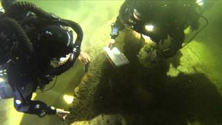 World Record - Deepest Underwater Wedding