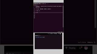 "Calculate Total Characters in a String Array using JavaScript."| #javascript #maahicodes #coding