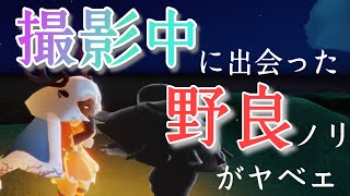 【sky星を紡ぐ子どもたち】撮影中に出会った野良星の子は、いつでも波に乗っている