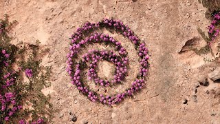 Far Cry New Dawn Main Theme + Loading Screen + Inside Of Prosperity