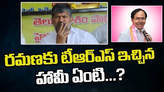 రమణకు టీఆర్ఎస్ ఇచ్చిన హామీ ఏంటి ..? | L Ramana Face ToFace | NTV