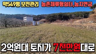 2억원대 549평 토지가 7천만원대 청도 농지 경매매물