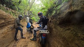 Farm bikes at porters road Suzuki tf125 Yamaha ag100