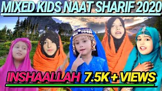 Tu Kuja Man Kuja | Part 3 - New Mixed Kids Naat Sharif | Hoor ul ain Siddiqui #viralnaat #trending
