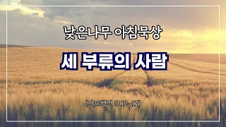 [낮은나무 아침묵상] _세 부류의 사람 _사도행전 5:12-17 _신원동 낮은나무교회