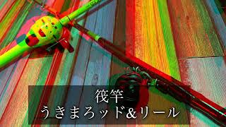 先週黒鯛が釣れたポイントにうきまロッドと筏竿を持ってヘチ釣りしてきた