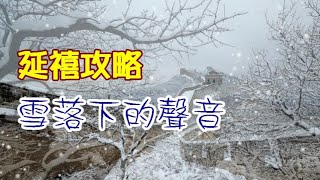 《延禧攻略》 雪落下的聲音-陸虎  KTV歌詞字幕