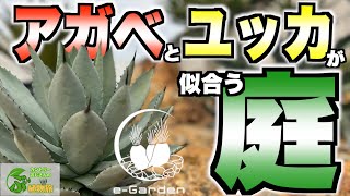 【激アツ】大人気のドライガーデンを超カッコよく作るe-GARDENさんにお邪魔しました！