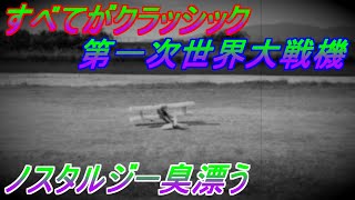 すべてがクラッシック 第一次世界大戦機 ノスタルジック臭漂う　RC　飛行機　ラジコン