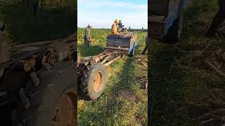 Cassava  harvesting  in thailand  ใช้รถอืแท๊ก บรรทุก รถละ 1 ตัน  #cassava   #thailandfarmer