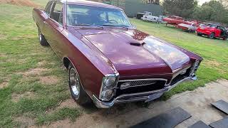 1967 Pontiac GTO (Bone Stock) in Johannesburg, South Africa