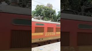 15054 Lucknow Chhapra Express Full Speed Cross Sagarpali #indianrailways #shorts @RailfanFaiz