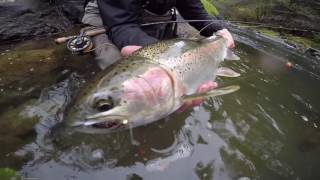 Fly Fishing For Steelhead In Washington \u0026 Oregon