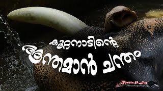 ഐശ്വര്യശ്രീമാൻ കൂറ്റനാട് വിഷ്ണു | Koottanad Vishnu