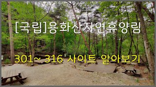 [국립]용화산자연휴양림 301~316 사이트 알아보기(강원도 춘천)