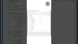 Draw a 7-Petal Flower Using Python Turtle
