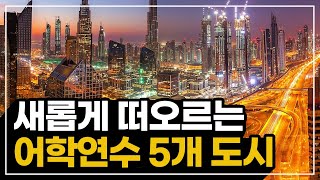 두바이에서 어학연수를? 특별한 어학 연수의 시작! (지역 추천)