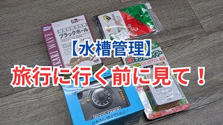 家を留守にするときの水槽管理のポイント