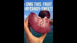 OMG 😅 This Fruit Is Candy-Sweet! 😍