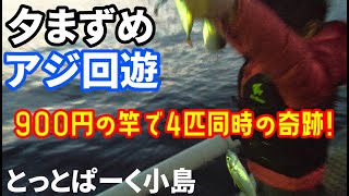 夕マズメにアジの回遊きた！大阪とっとパーク小島で冬でも9魚種釣れた！