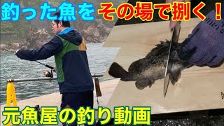 サビキ釣りでアジ狙い！あまちゃんのロケ地で釣った魚をその場で捌いてお刺身に！久慈港編