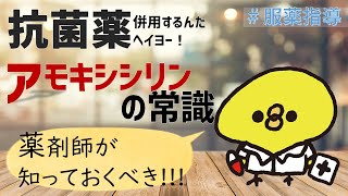 【薬剤師の勉強】＜10分で解説＞オーグメンチンとサワシリンなんて一緒に使うって何でよ！先生！を解決♬☺