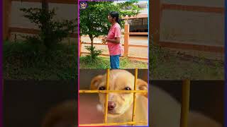 பிச்சை எடுத்துதான் இதை நடத்துறேன் -  Shiranee Pereira co-founder of People of Animals