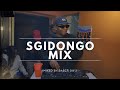 Sgidongo Mix 2026 | Lowbass Djy | Shakaman YKTV | Mdu aka Trp | By Babza Da J  #amapiano 