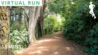 Virtual Treadmill Scenery | Short Virtual Run Forest | POV Running Video | 15 Minutes 4K 60