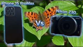 Nikon Z30 vs iPhone 15 Pro Max Photo Comparison