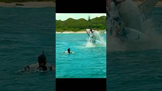 Two surfers were hunted by a great white shark while surfing!!😱😱#shorts #viral