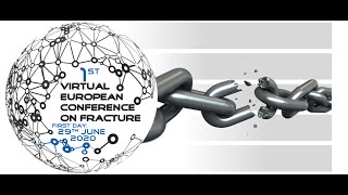 Invited Lecture: Characterisation of Crack Tip Fields