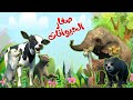اغنية صغار الحيوانات🥳 | اغاني اطفال بون بون
