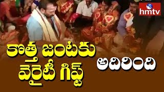 Variety Gift for New Couple | hmtv Telugu News